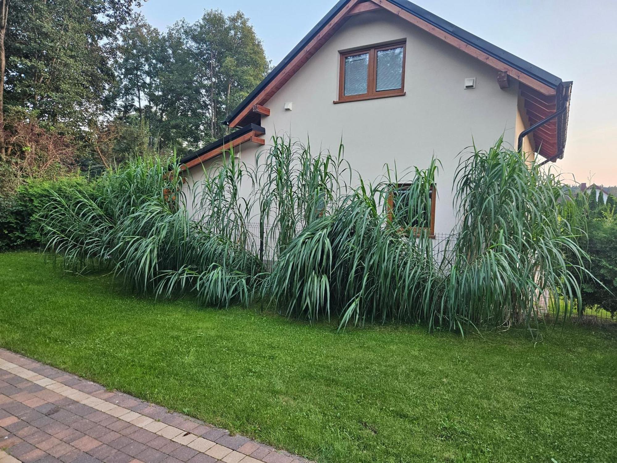 Osada Cztery Pory Roku - Dom Jesien Villa Kopalino Buitenkant foto